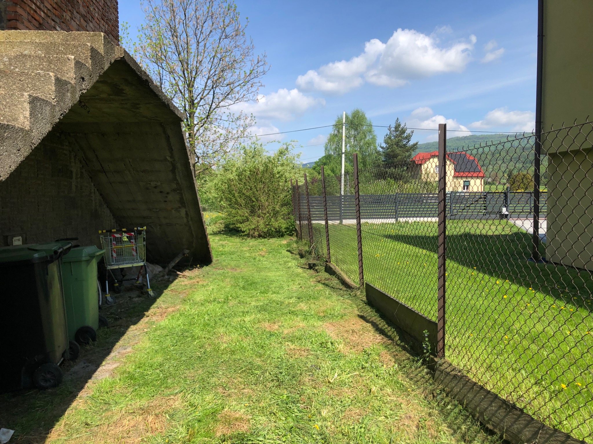 Zarośnięty trawnik wzdłuż ogrodzenia z siatki, z widocznymi śladami po koszeniu i betonowymi schodami prowadzącymi do piwnicy, w tle dom z czerwoną dachówką.