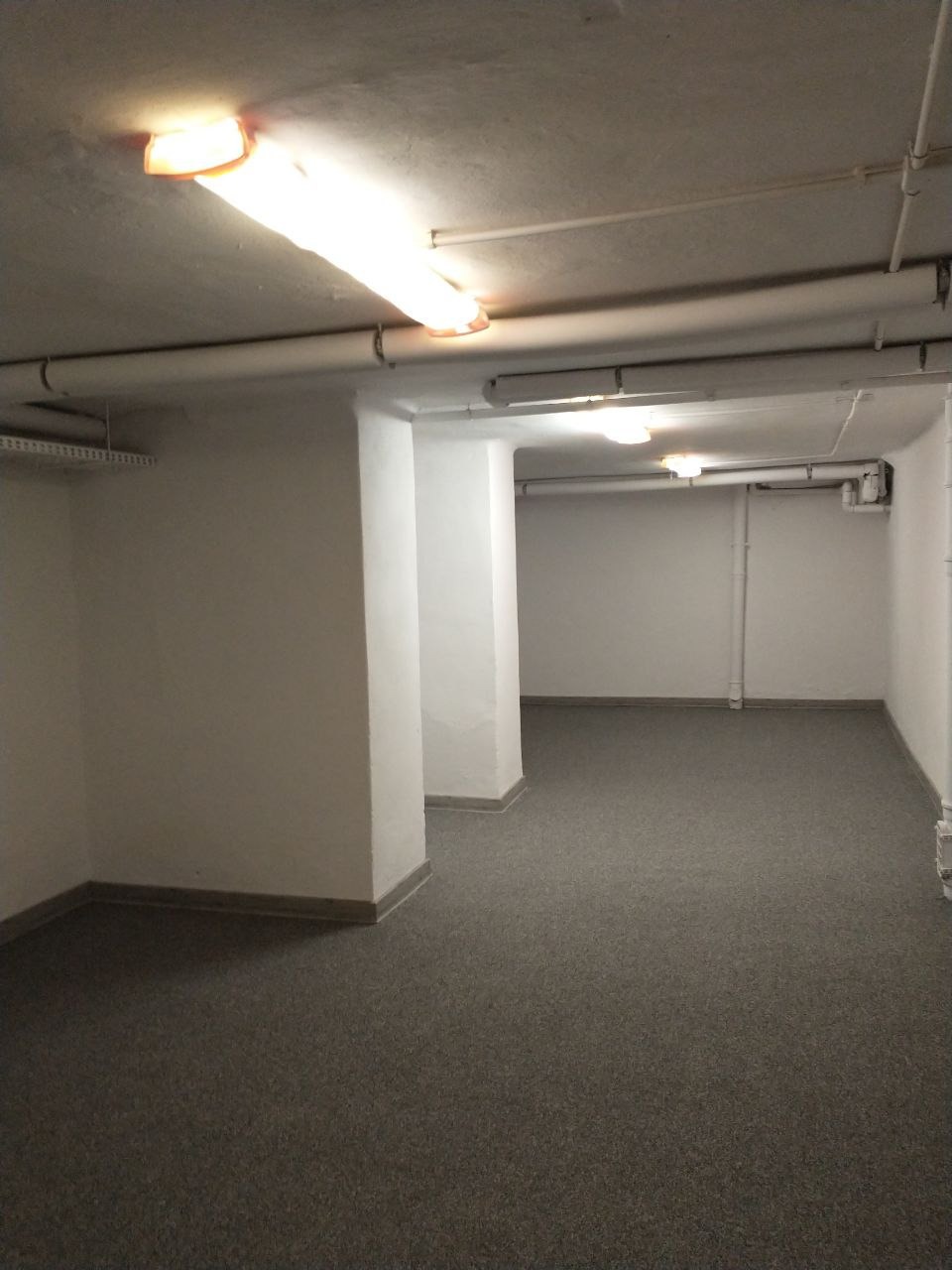 Puste pomieszczenie piwniczne z szarym dywanem, białymi ścianami i kolumnami, oświetlone lampami fluorescencyjnymi pod sufitem.