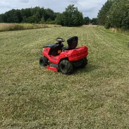 Czerwona kosiarka traktorowa na świeżo skoszonym trawniku, z widocznymi śladami koszenia i lasem w tle.