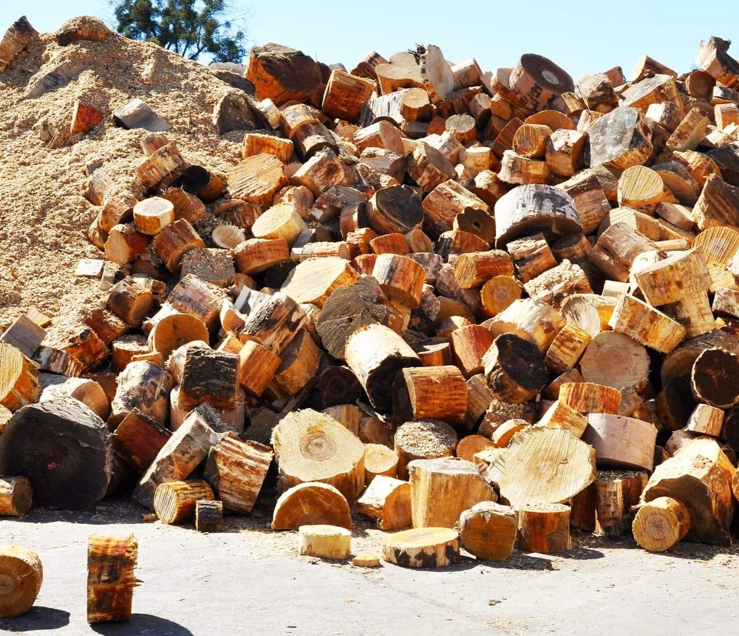 Stos pociętego drewna kominkowego, głównie okrąglaków, z widocznymi słojami i korą, ułożony na betonowej powierzchni, z górą trocin w tle i błękitnym niebem.
