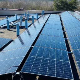 Rząd paneli słonecznych na płaskim dachu budynku przemysłowego, widoczne kominy wentylacyjne i drzewa w tle.