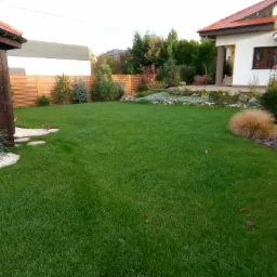 Wykonanie trawnika na posesji pod Wrocławiem - efekt finalny po paru miesiącach od zasiewu trawy na ogrodzie.