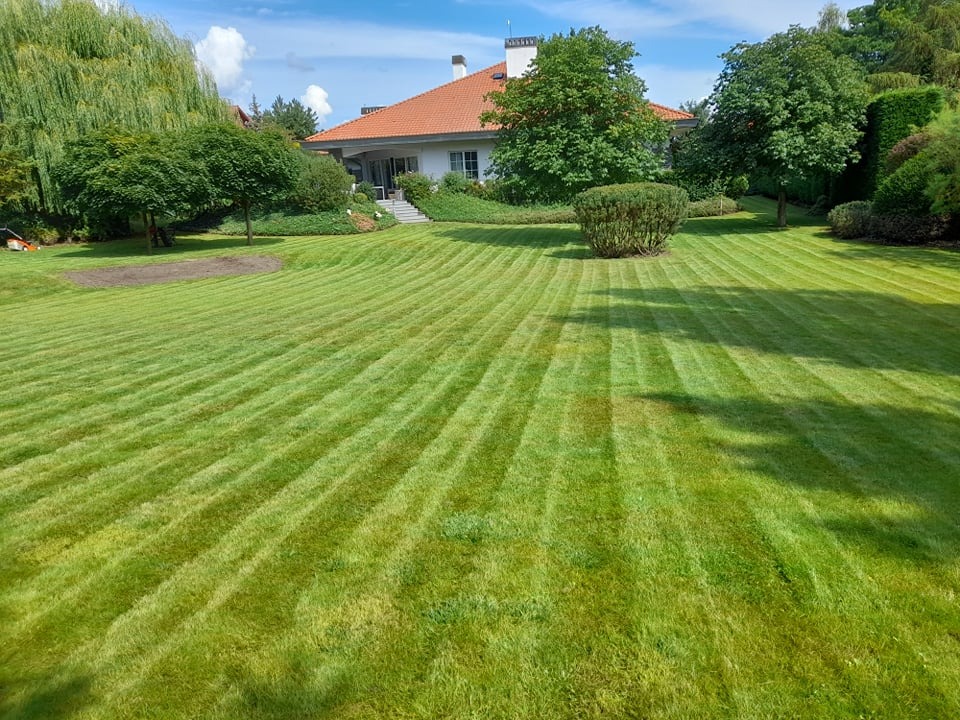 Perfekcyjnie przystrzyżony trawnik z wyraźnymi pasami, prowadzący do domu z pomarańczową dachówką i białymi ścianami, otoczonego zielenią drzew i krzewów w słoneczny dzień.