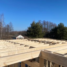 Domy murowane Lipsko 4