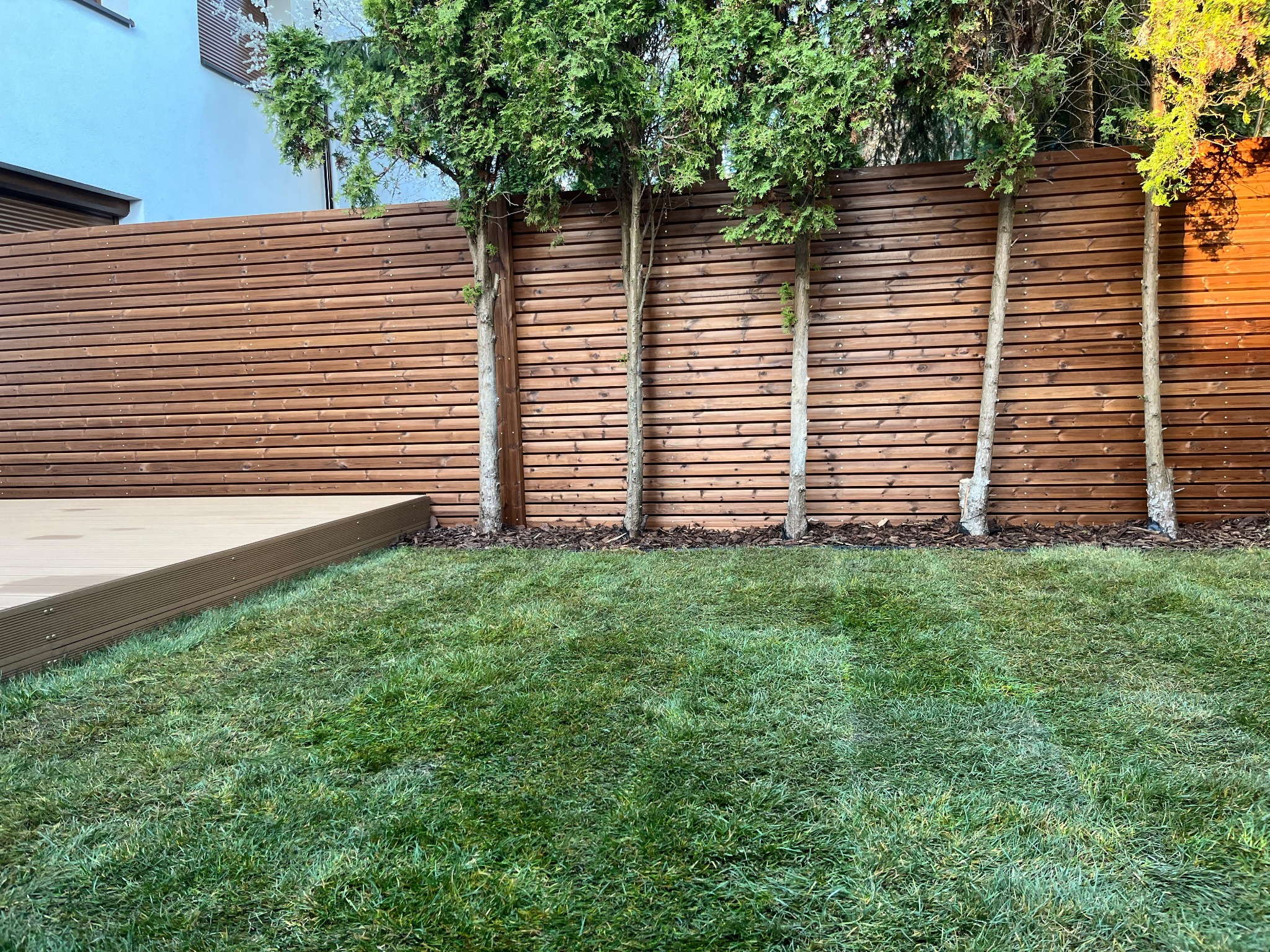 Nowoczesny ogród z poziomym, drewnianym ogrodzeniem, młodymi drzewami posadzonymi wzdłuż niego, fragmentem tarasu i świeżo skoszoną trawą.