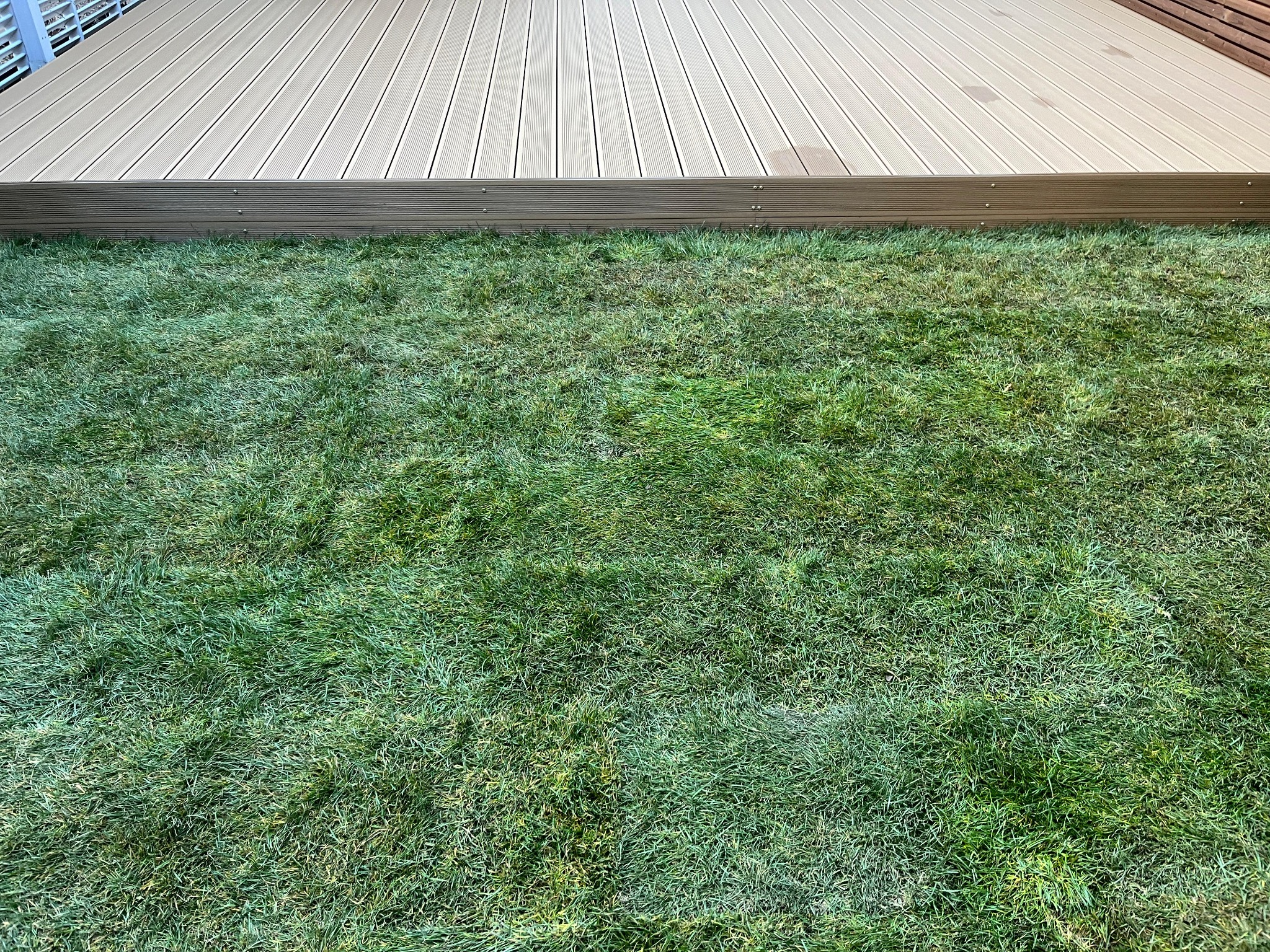 Nowoczesny taras kompozytowy z jasnymi deskami na tle soczystej zieleni trawnika, widok z góry, minimalistyczny design.