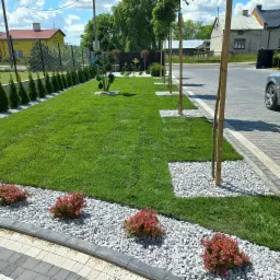 Świeżo założony trawnik z równo przyciętą trawą, obrzeża wysypane białym grysem, ozdobne krzewy i młode drzewka wzdłuż chodnika, schludny ogród frontowy.