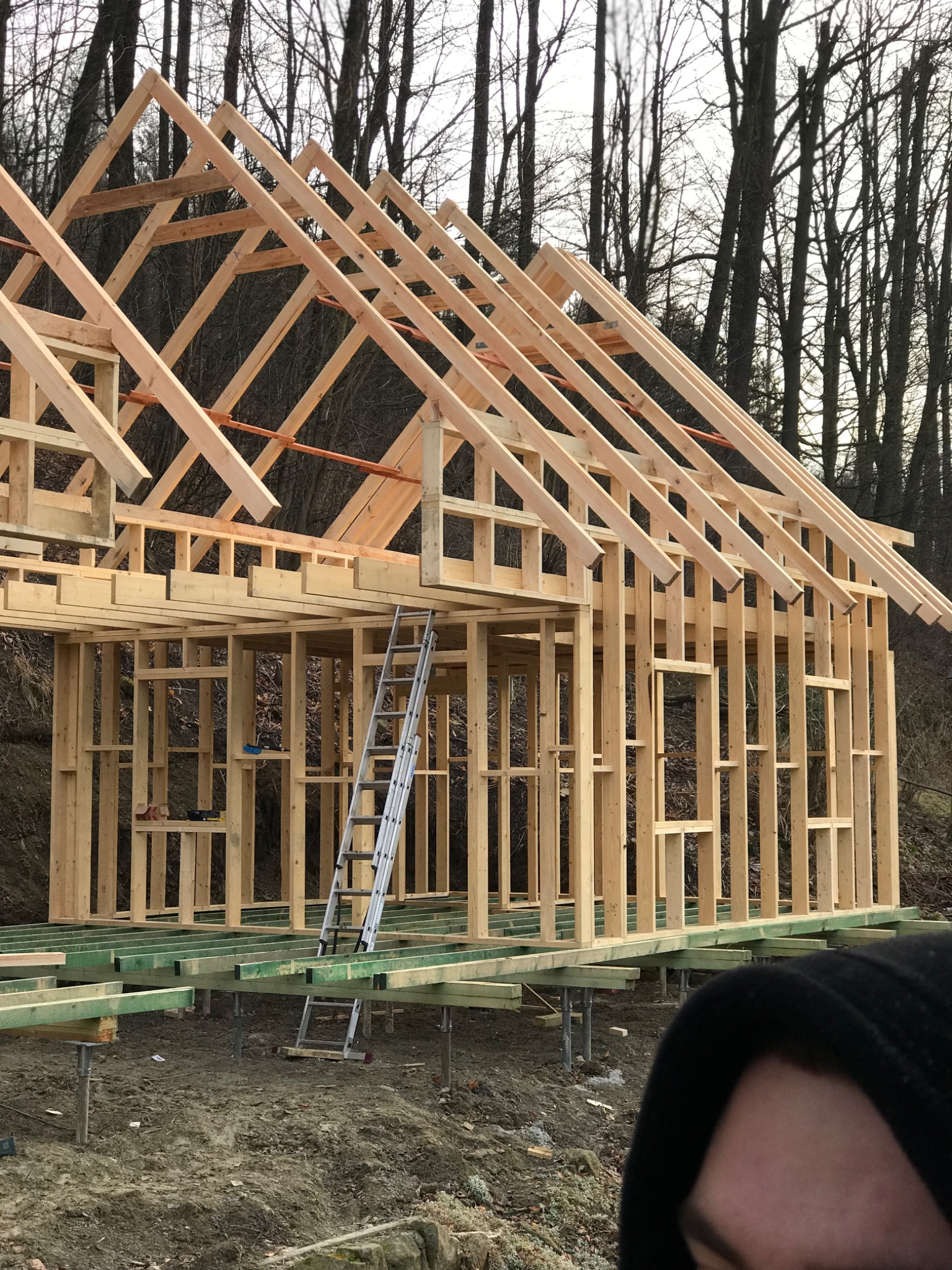 Surowa drewniana konstrukcja szkieletowa budynku w trakcie budowy, widoczna drabina oparta o konstrukcję, tło stanowią nagie drzewa.