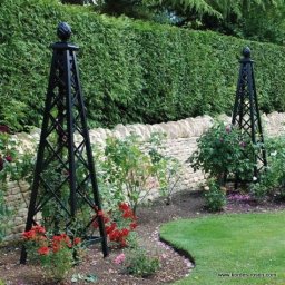 Rośliny i podłoża Chludowo 3