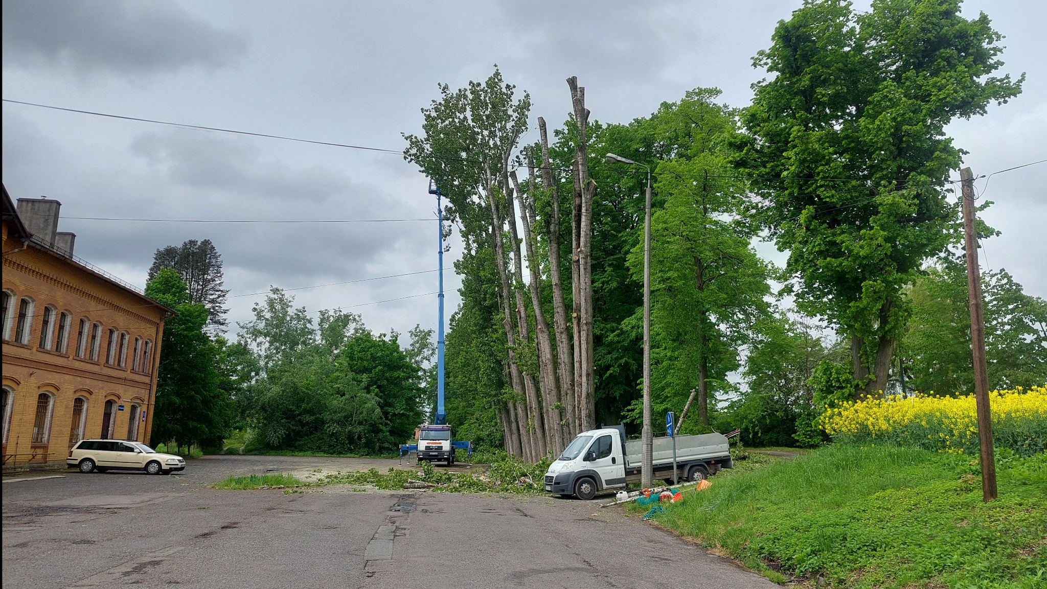 Prace przy redukcji koron drzew w przestrzeni miejskiej: podnośnik koszowy, przycięte pnie, biała furgonetka, porozrzucane gałęzie na asfalcie, budynek z cegły w tle.