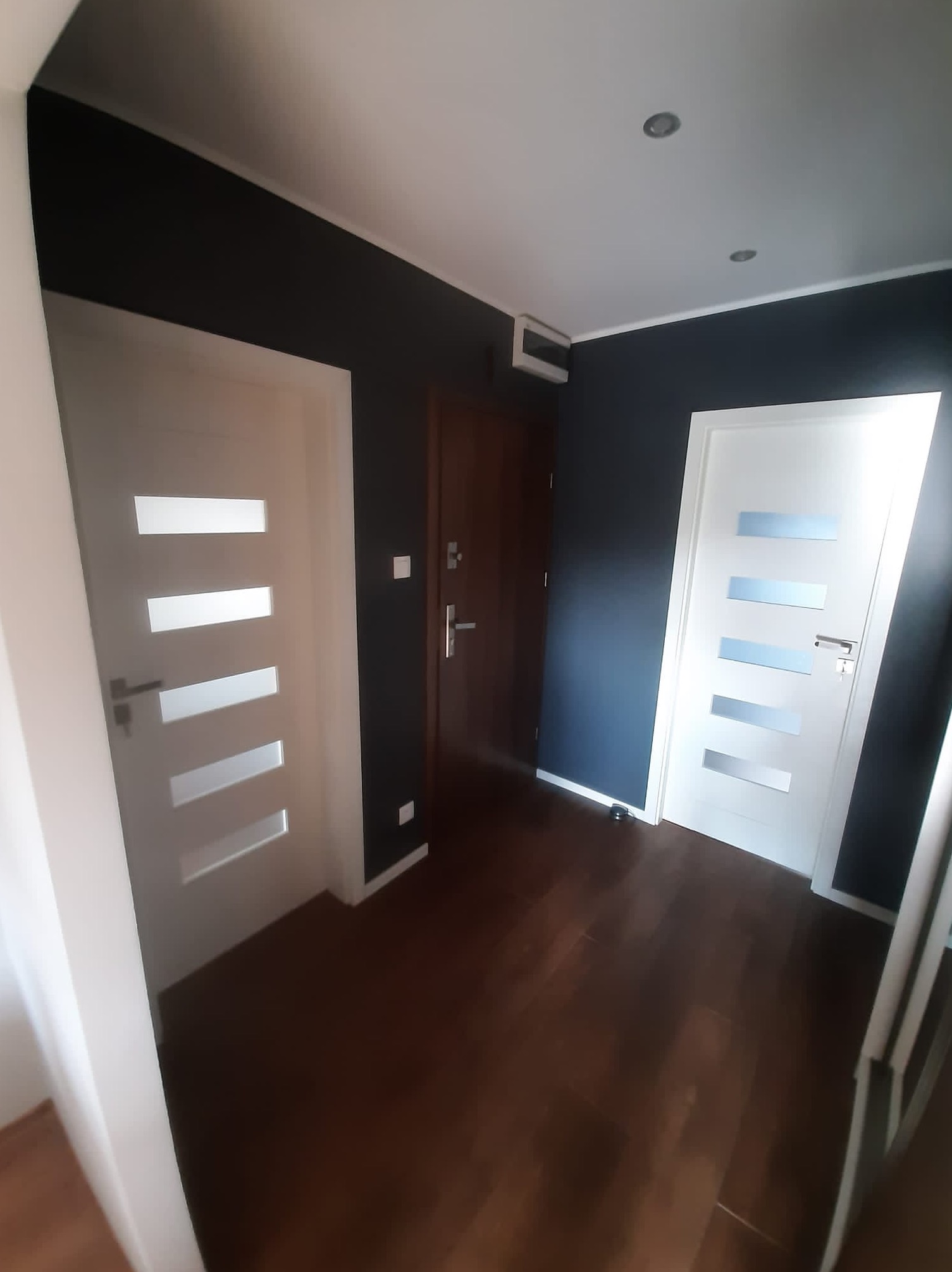 Korytarz po remoncie: ciemne ściany, drewniana podłoga, dwoje białych drzwi z przeszkleniami i brązowe drzwi wejściowe.