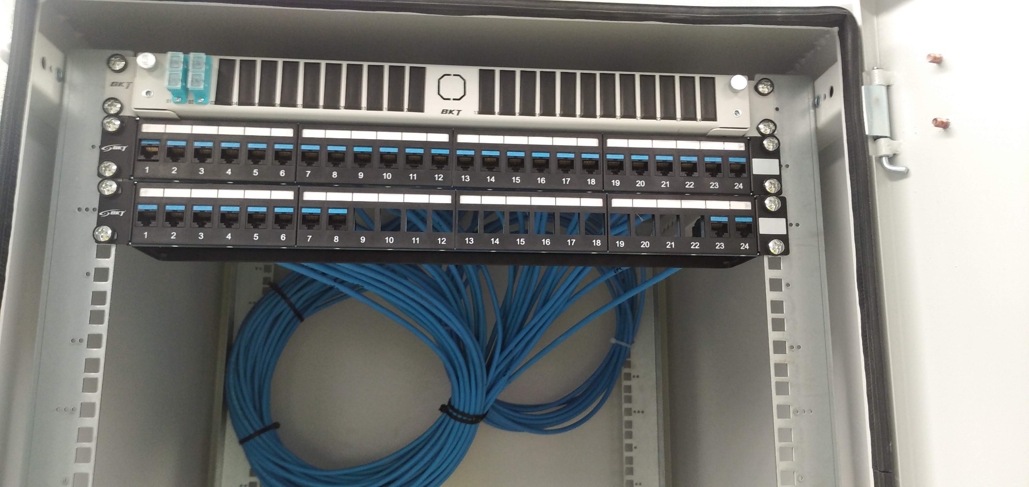 Panel krosowniczy BKT w szafie telekomunikacyjnej z podłączonymi niebieskimi kablami sieciowymi, numery portów od 1 do 24