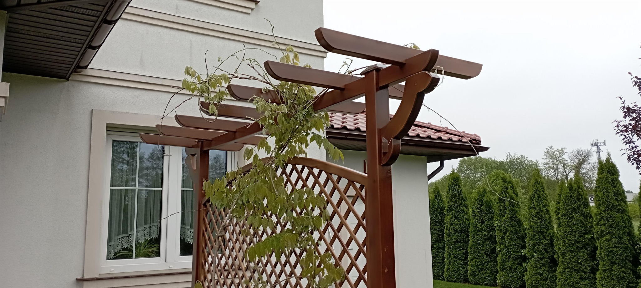 Drewniana pergola z kratką, częściowo porośnięta bluszczem, przylegająca do białego budynku w Częstochowie. Widoczne okno z firanką i fragment dachu. W tle rząd wysokich, zielonych drzew.