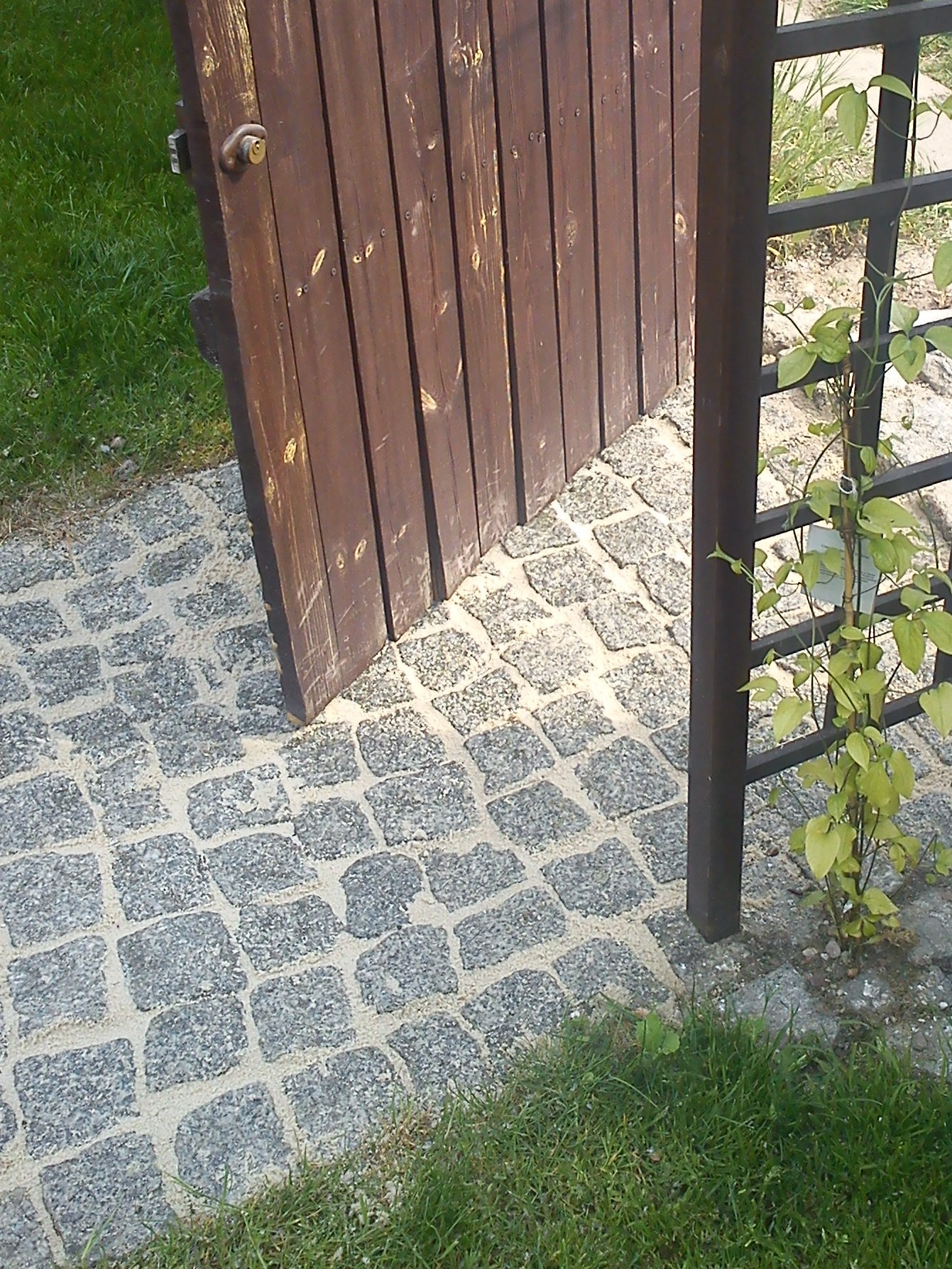 Ułożona kostka brukowa z piaskowymi fugami, brązowa drewniana furtka lekko uchylona, metalowa pergola z pnącą rośliną, trawa w tle.