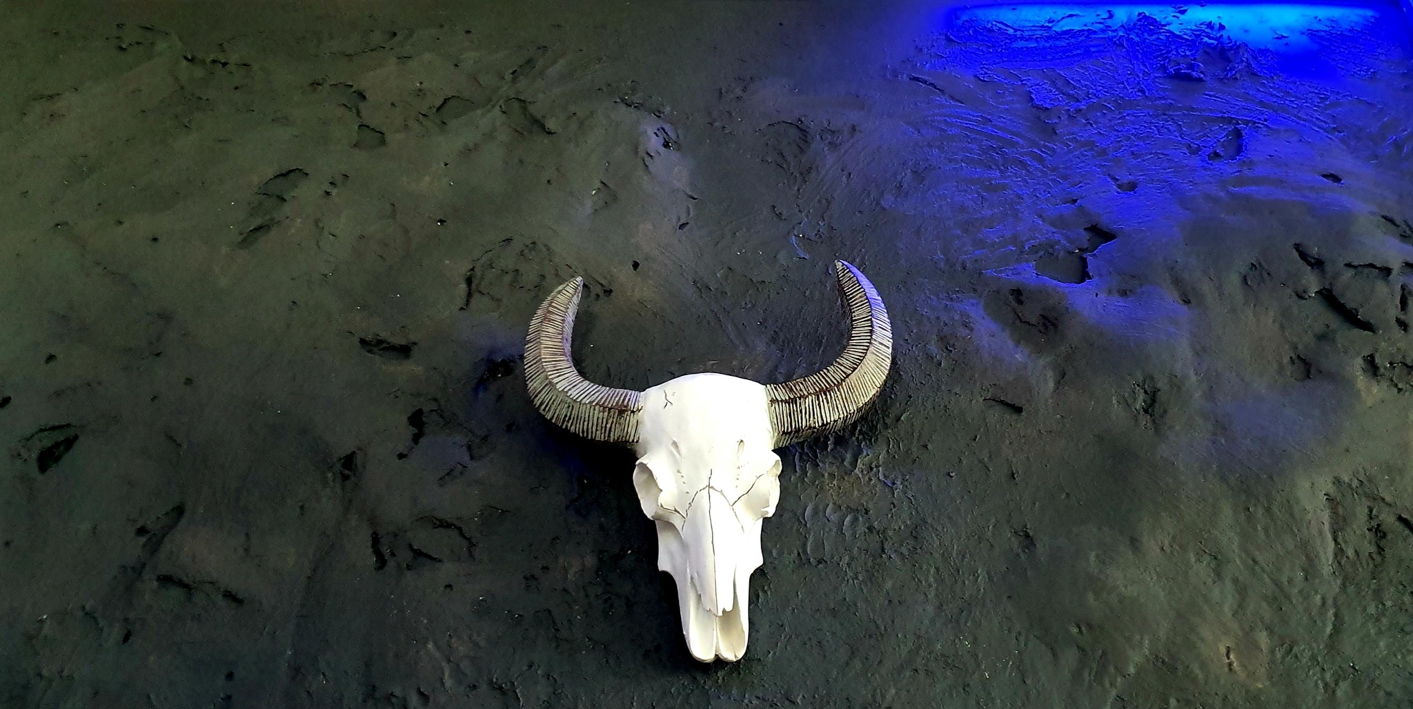 Dekoracyjny, biały, gipsowy czaszka byka z rowkowanymi rogami na ciemnej, strukturalnej ścianie podświetlonej niebieskim światłem.