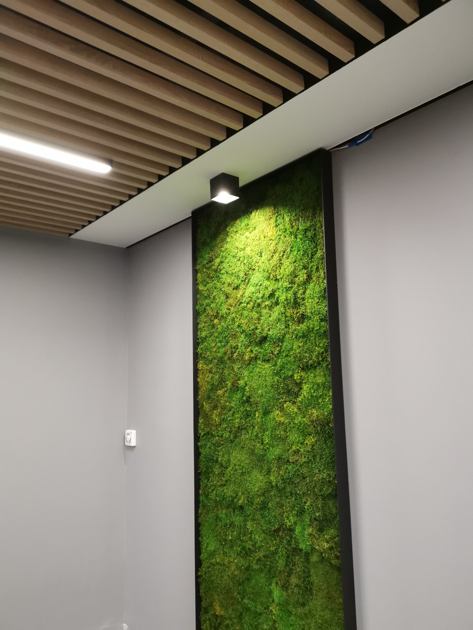 Wertykalny panel z mchu w czarnej ramie, oświetlony punktowym reflektorem, na tle szarej ściany i drewnianego sufitu lamelowego w nowoczesnym biurze.