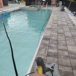 Przycinanie drzew Gdynia 2