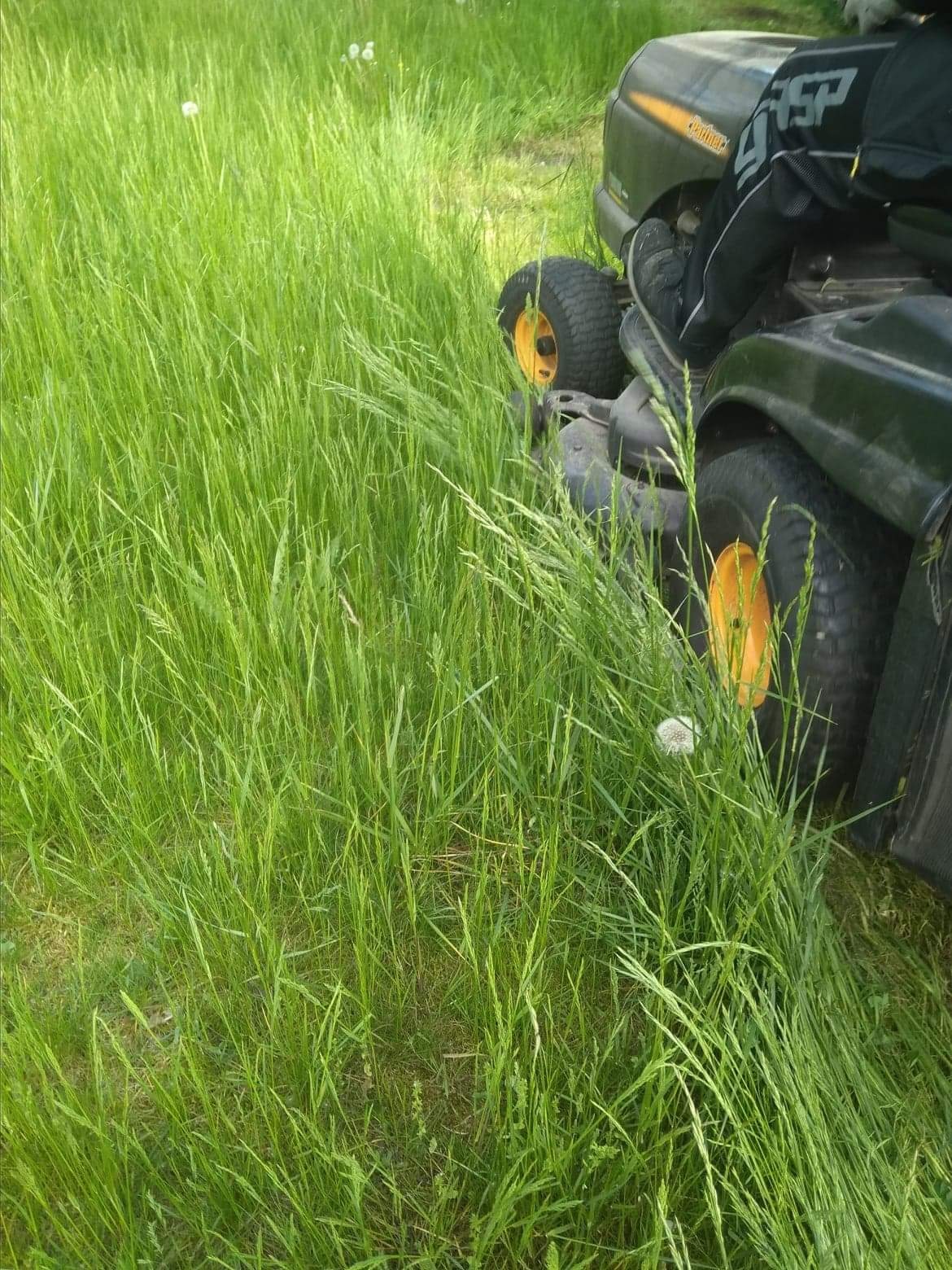 Kosiarka samojezdna z żółtymi felgami kosi wysoką, zieloną trawę na łące, widoczne ślady cięcia.