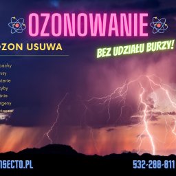 Dezynsekcja i deratyzacja Warszawa 4