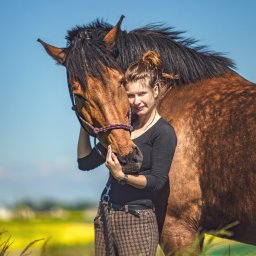 Stadniny i jazda konna Rogóźno 2