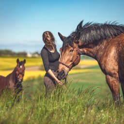 Stadniny i jazda konna Rogóźno 1