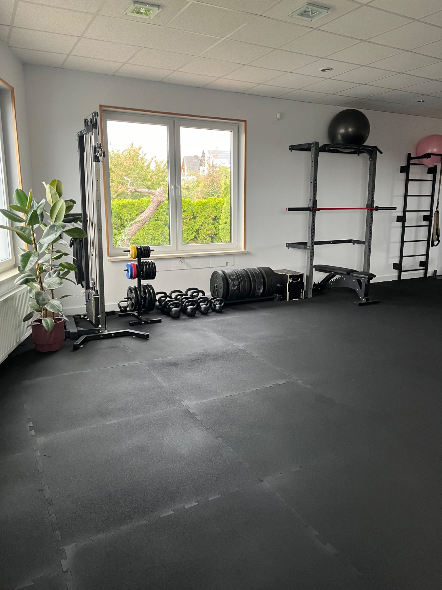 Jasna sala ćwiczeń z oknem, wyposażona w maszynę do ćwiczeń z obciążeniami, kettlebells, obciążenia na sztangę, drabinkę gimnastyczną i ławkę; w rogu duża roślina doniczkowa.