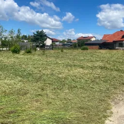 Świeżo skoszone pole z pozostawioną trawą, za nim widoczne domy jednorodzinne i błękitne niebo z chmurami.