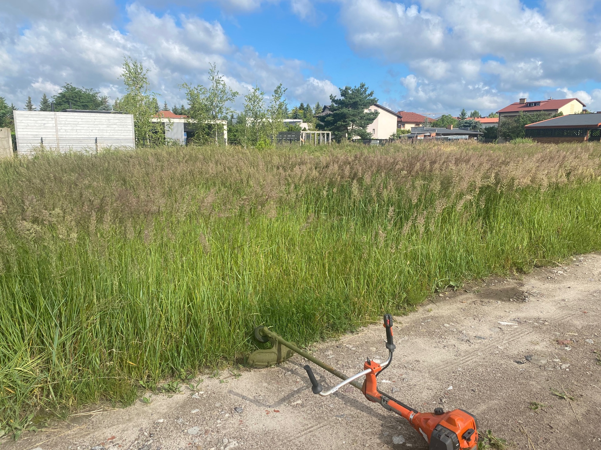 Pomarańczowa kosa spalinowa leży na ziemi obok wysokiej, zarośniętej trawy na tle domów i błękitnego nieba z chmurami.