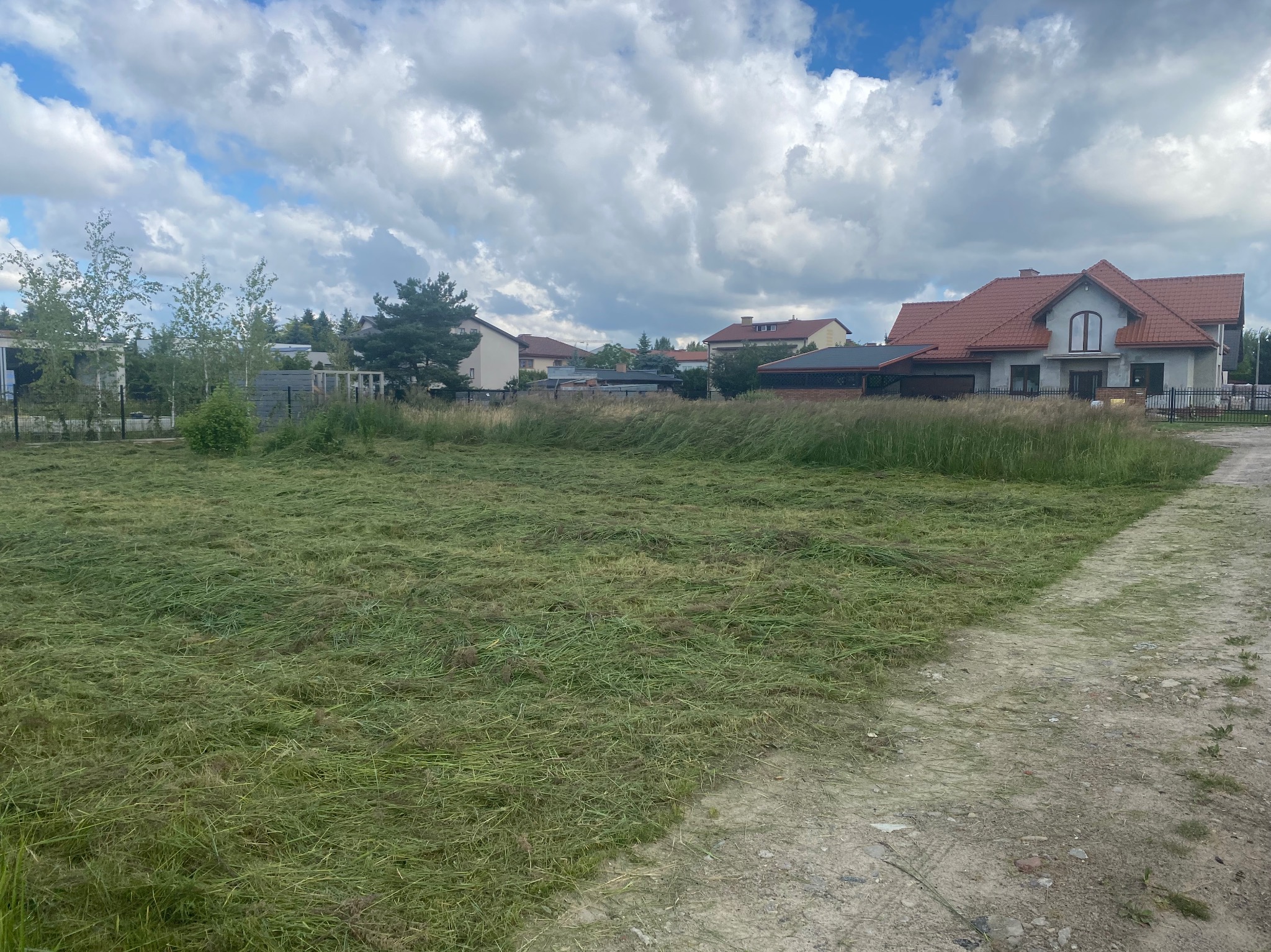 Świeżo skoszona trawa na dużej działce w dzielnicy domów jednorodzinnych, z widocznymi śladami kół na ziemi, błękitnym niebem z chmurami w tle.
