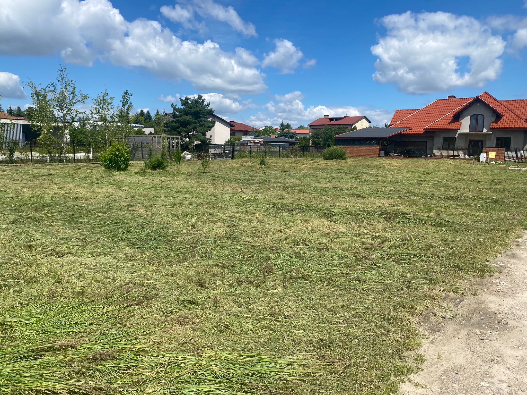 Świeżo skoszone pole z pozostawioną trawą, za nim widoczne domy jednorodzinne i błękitne niebo z chmurami.