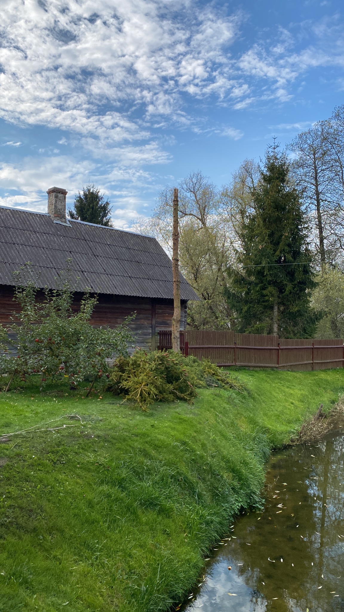 Pień po wycince drzewa iglastego na tle drewnianego domu z szarym dachem i błękitnego nieba z chmurami, obok leżą ścięte gałęzie.