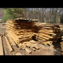 Stosy świeżo przetartego drewna ułożone na zewnątrz, zabezpieczone blachą falistą, z widocznym lasem w tle.