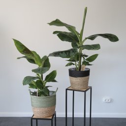 Spawacz Ostrów Wielkopolski 4