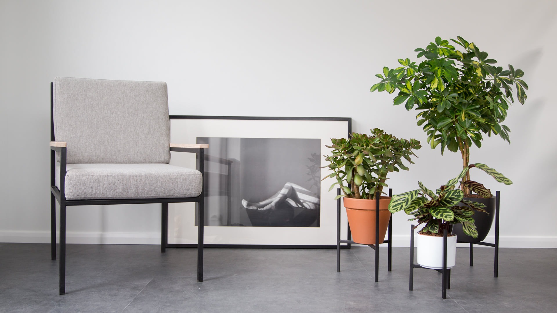 Minimalistyczne wnętrze z szarym fotelem o metalowej konstrukcji, czarno-białym zdjęciem w ramie i trzema roślinami doniczkowymi na metalowych stojakach na tle białej ściany i szarej podłogi.