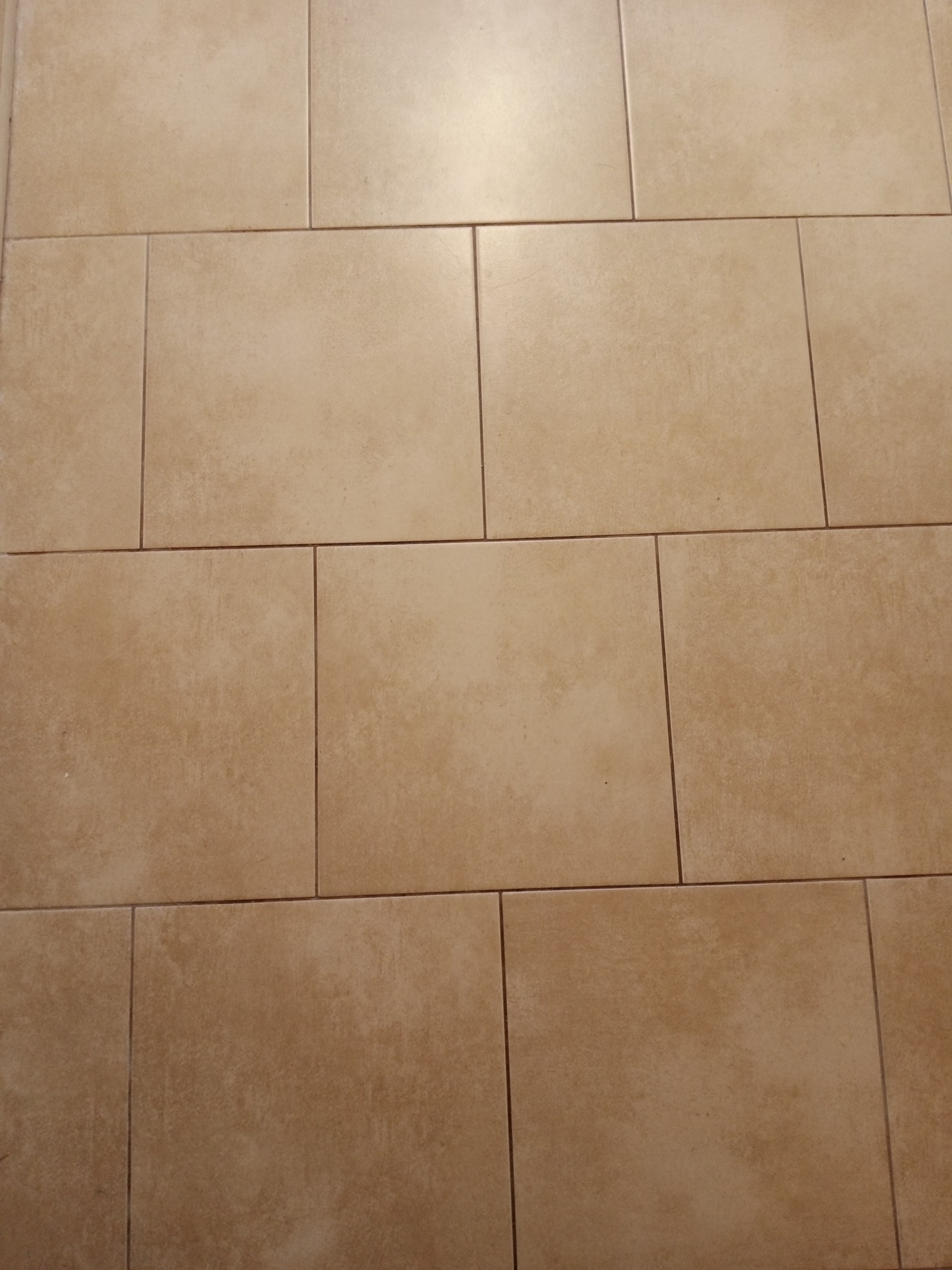 Beżowe, prostokątne płytki podłogowe ułożone w regularnym wzorze z widocznymi spoinami.