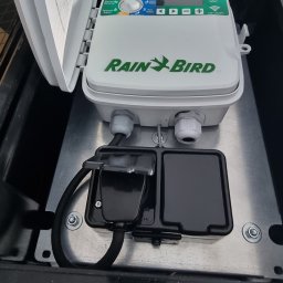 Rafał Skiba - Otwarta czarna skrzynka z zamontowanym białym sterownikiem nawadniania Rain Bird ESP-TM2, z widocznymi przewodami i złączami na metalowej płycie montażowej.