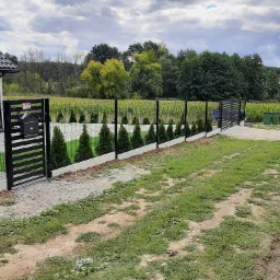 Nowoczesne ogrodzenie panelowe z furtką i betonową podmurówką, obsadzone tujami, z widokiem na pole kukurydzy w tle.