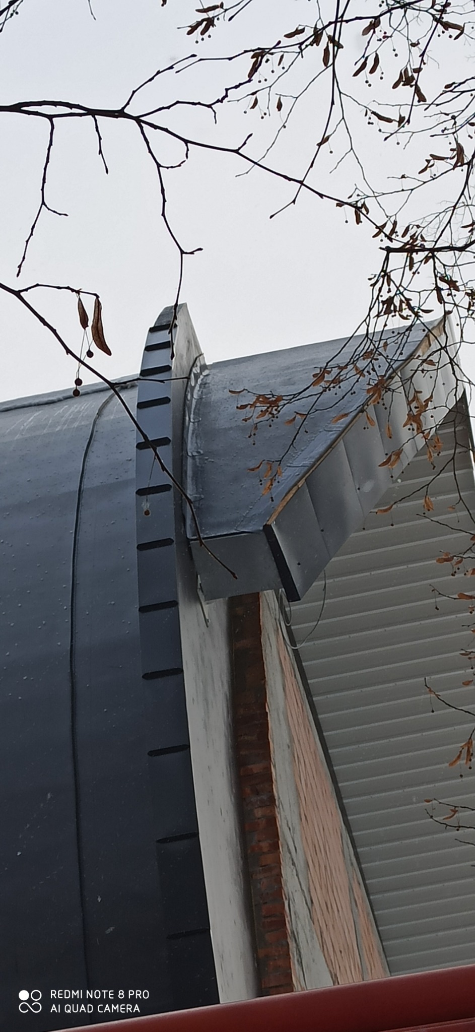 Szare metalowe pokrycie dachu z pionowymi przetłoczeniami, widoczne z dołu na tle pochmurnego nieba i gałęzi drzew