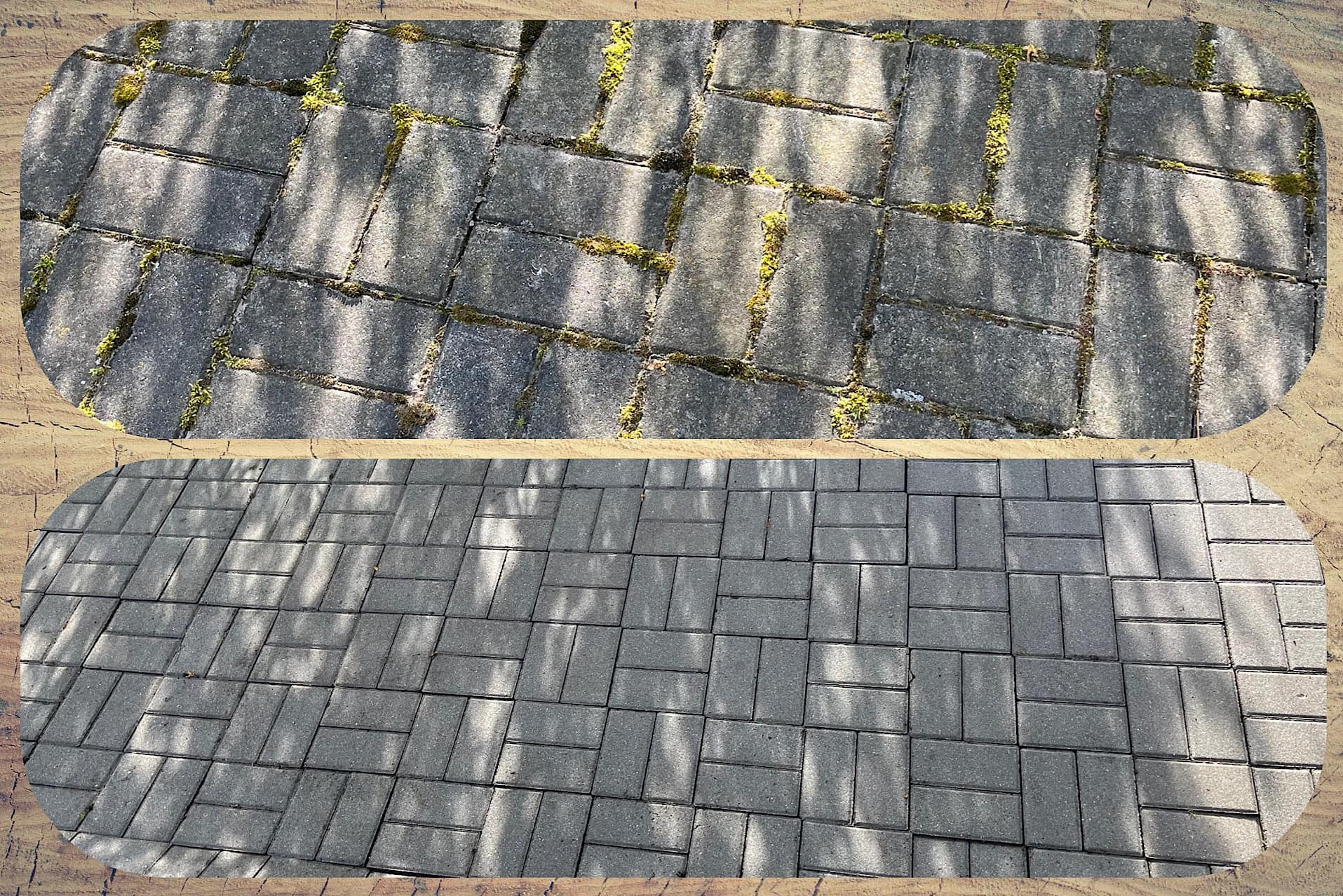 Porównanie kostki brukowej przed i po czyszczeniu, z widocznym mchem w spoinach na górnej części i czystą powierzchnią na dolnej części, oświetlone promieniami słońca tworzącymi cienie drzew.