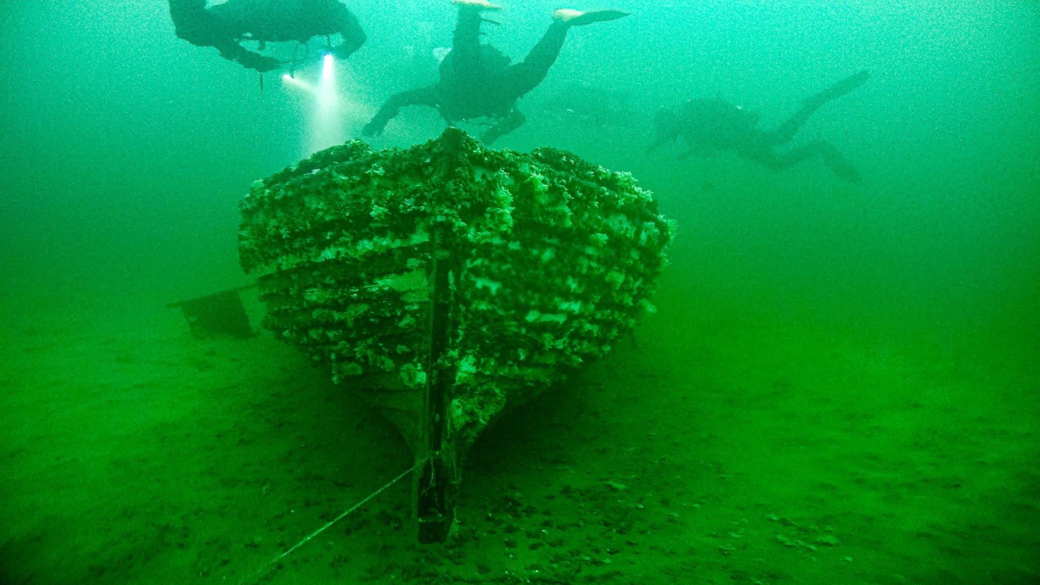 Zanurzony w zielonej wodzie wrak łodzi, porośnięty roślinnością, oświetlony przez nurków z latarkami.