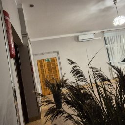 Climato Jakub Lipiński - Wnętrze biura z klimatyzacją ścienną, widok z dołu na urządzenie. Na pierwszym planie dekoracyjna trawa, w tle drzwi ewakuacyjne i gaśnica.
