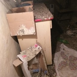 Opróżnianie, sprzątanie i dezynfekcja strychu po bytowaniu gołębi.