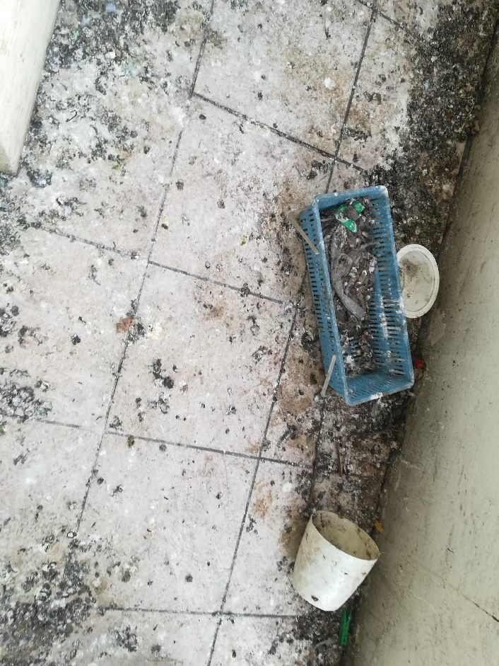 Sprzątanie i dezynfekcja balkonu po gołębiach Warszawa