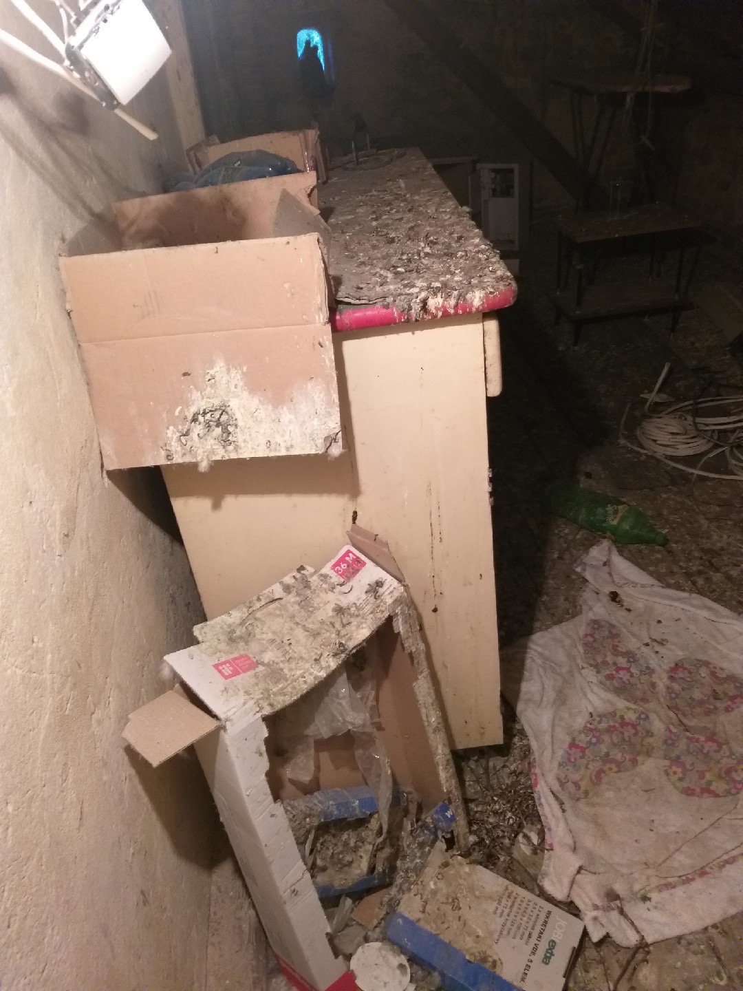 Opróżnianie, sprzątanie i dezynfekcja strychu po bytowaniu gołębi.