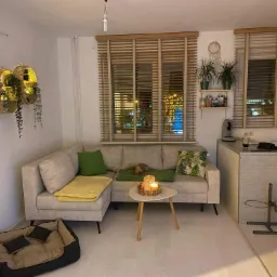 Jasne drewniane żaluzje poziome w salonie z narożną sofą, dekoracjami roślinnymi i legowiskiem dla psa