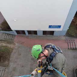 Malowanie Dachów ArboMonkey - Wyjątkowe Odgrzybianie Elewacji Toruń