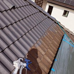 Malowanie Dachów ArboMonkey - Dobra Praca Na Wysokości Toruń