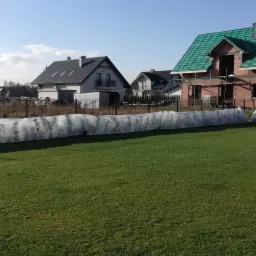 Rozległy, zielony trawnik przed domem w budowie z zielonym dachem, zabezpieczone krzewy w tle.