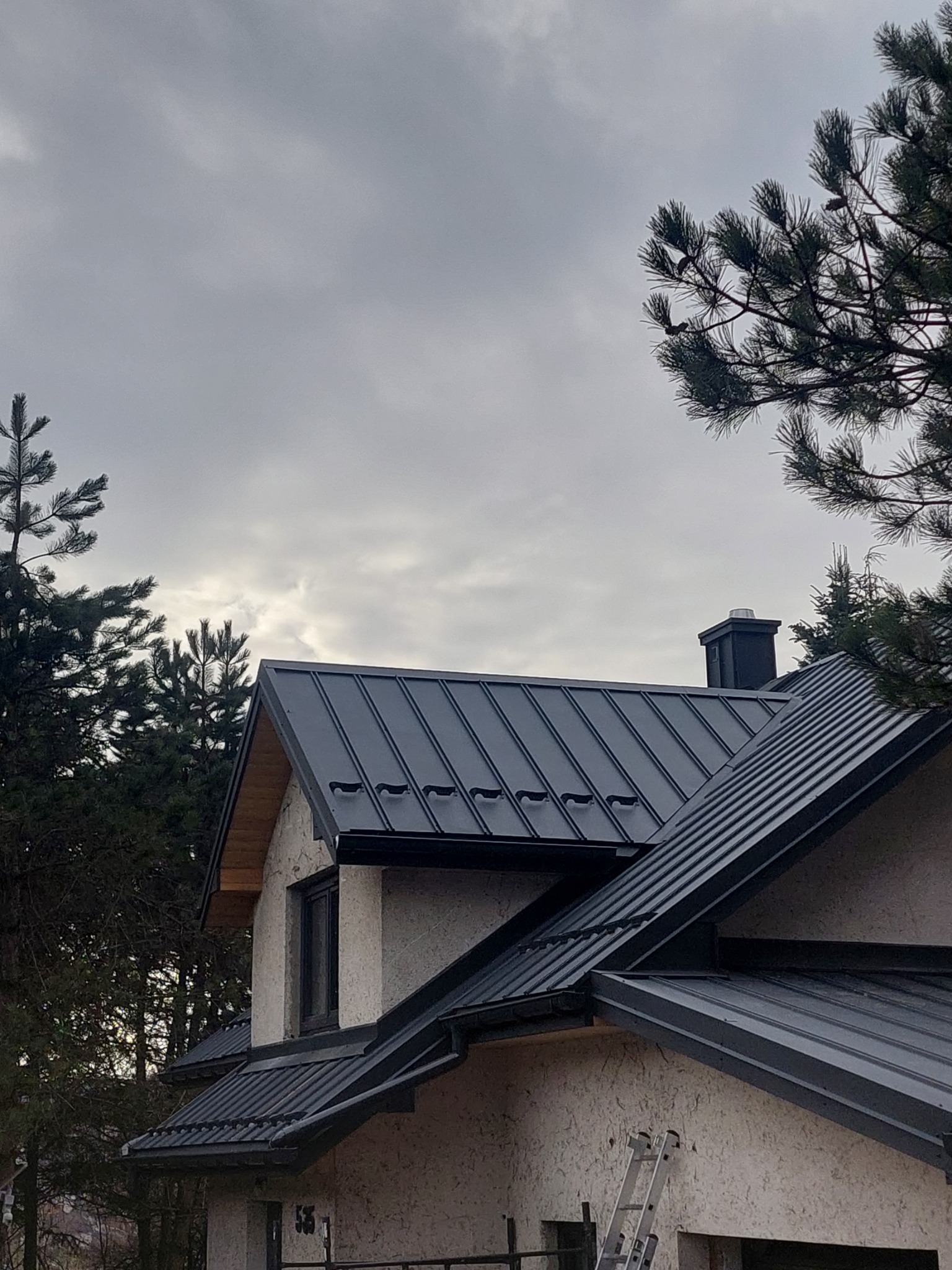 Nowoczesny dom z ciemnoszarym dachem z blachy na rąbek stojący, widoczne obróbki blacharskie i komin na tle pochmurnego nieba, fragment drabiny oparty o ścianę.