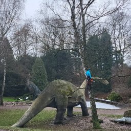 Wycinka w Chirzowie w zoo pod nową inwestycję -kladka w doline dinozaurów